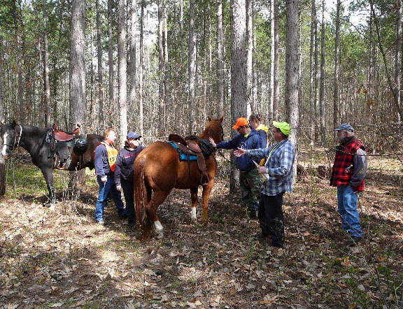 Equine Familiarization with local EMS